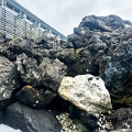 Iceland181