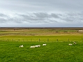 Iceland379