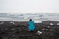 Iceland411