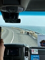 Iceland498