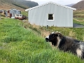 Iceland535