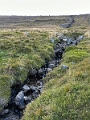 Iceland538