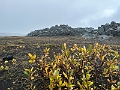 Iceland574