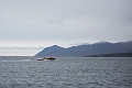 Iceland655