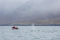 Iceland666