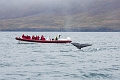 Iceland667
