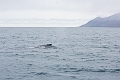 Iceland671