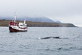 Iceland672