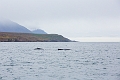 Iceland674