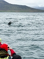 Iceland676