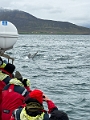 Iceland677