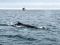Iceland682