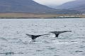Iceland685