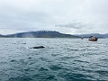 Iceland686
