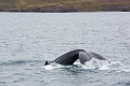 Iceland688