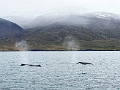 Iceland689