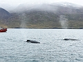 Iceland690