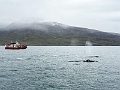 Iceland691