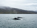 Iceland692