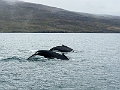 Iceland693