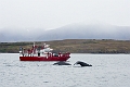 Iceland698