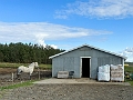 Iceland825