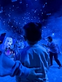 ImmersiveDisney020