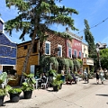 SaskatoonBerryFarm005