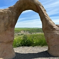 SaskatoonBerryFarm008