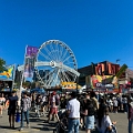 Stampede017