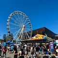 Stampede027