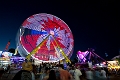 Stampede048