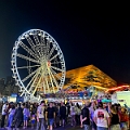 Stampede055