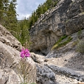 GrottoCanyon011