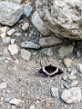 GrottoCanyon027