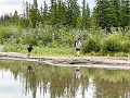 Canmore030