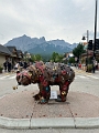 Canmore069
