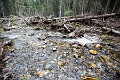 TrollFalls021