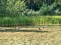 TwoJackLake012
