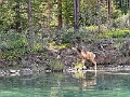 TwoJackLake026