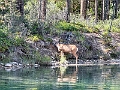 TwoJackLake027