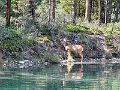 TwoJackLake028