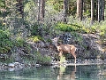 TwoJackLake029