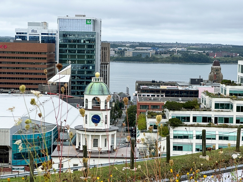 Halifax029.jpg