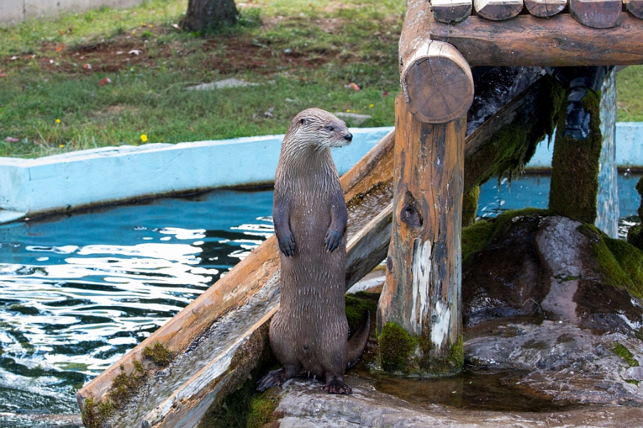 Moncton030.jpg