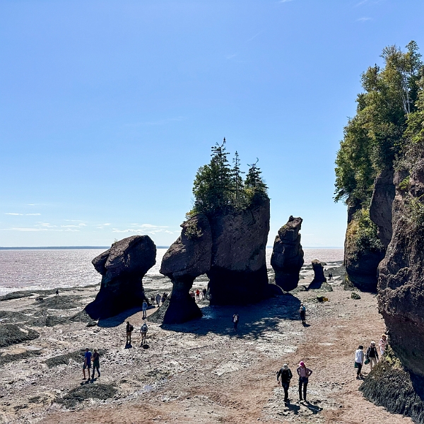 HopewellRocks007.jpg