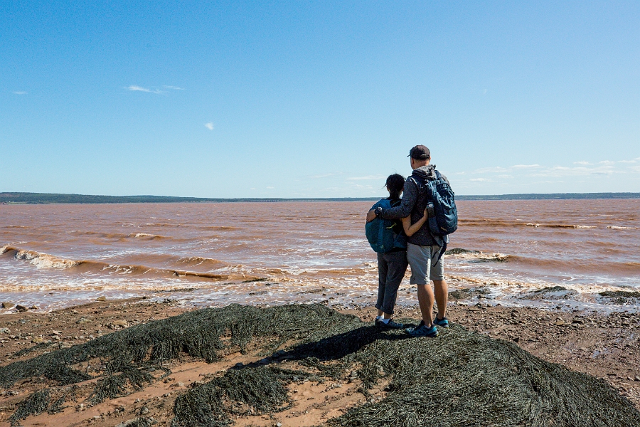 HopewellRocks013.jpg