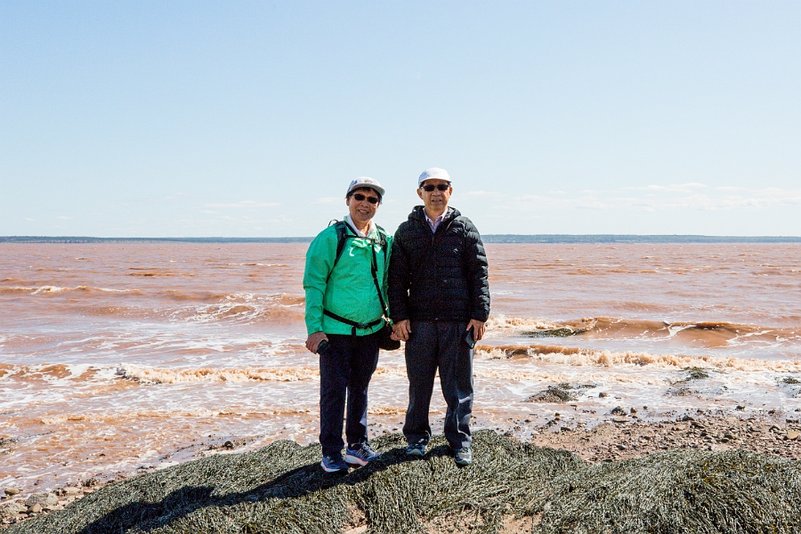 HopewellRocks014.jpg