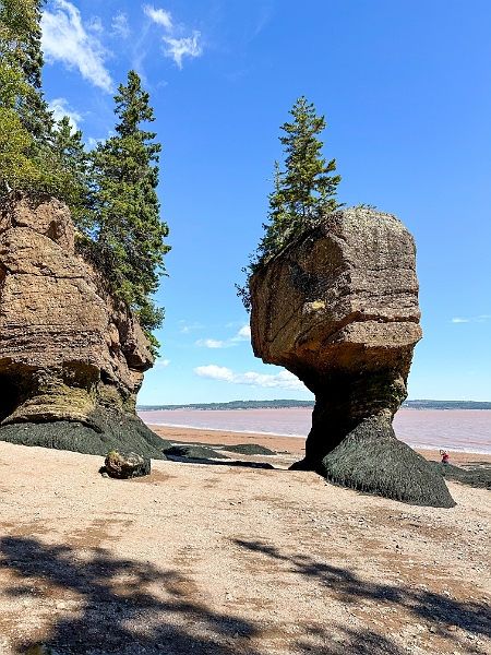 HopewellRocks019.jpg