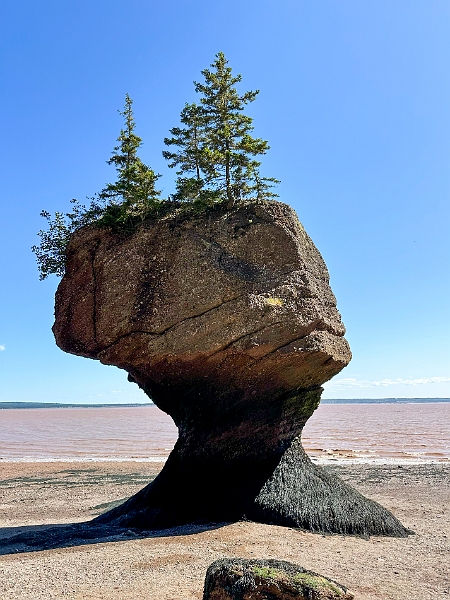 HopewellRocks020.jpg